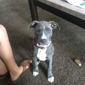 Meet your Posher, Katherine